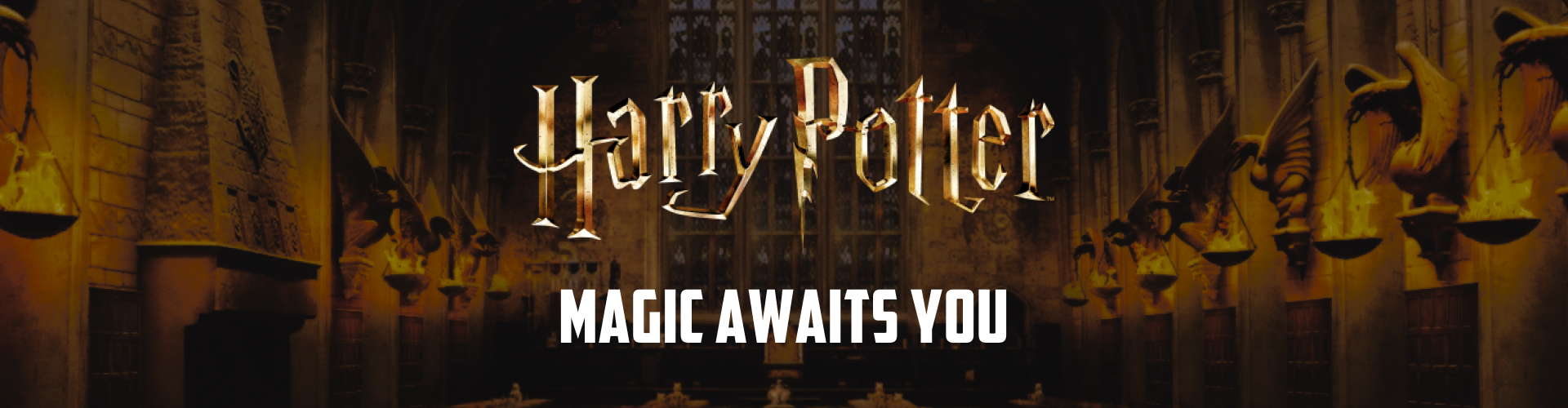 Harry Potter merchandise Harry Potter merchandise
