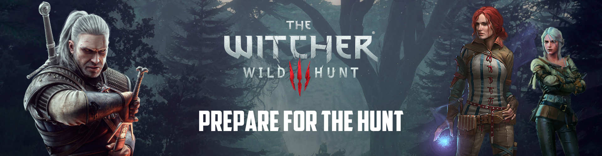 The Witcher merch