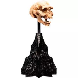 Weta Workshop Lord of the Rings - Skull of a Moria Orc Minuature