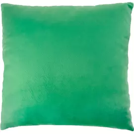 Plush pillow 