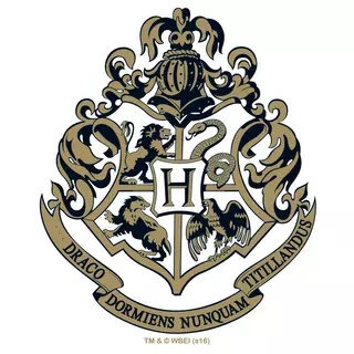 Harry Potter - Hogwarts Glass 290 ml