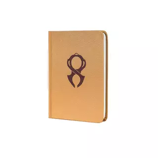 Blizzard Diablo - Brotherhood of Horadrim Guardian precept amulet Notebook A6