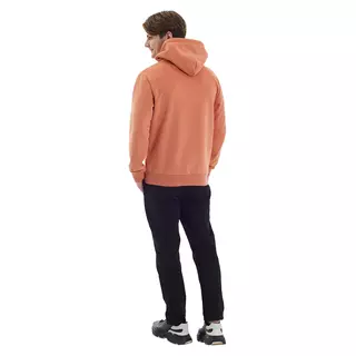 Virtus.pro Hoodie classic w/pocket orange, L
