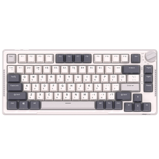 RK Royal Kludge keyboard (tri mode RGB hot swap, White sky cyan switch) wireless (ENG/RU)