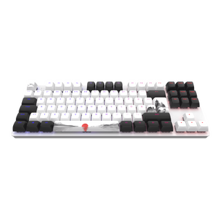 Dark Project One - 87 Fuji - G3MS Mech. RGB ISO (DE)