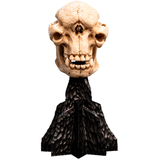 Weta Workshop El Señor de los Anillos - Cráneo de un trol de las cavernas en miniatura