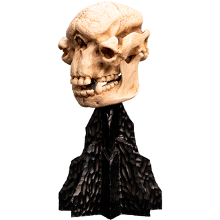 Weta Workshop El Señor de los Anillos - Cráneo de un trol de las cavernas en miniatura