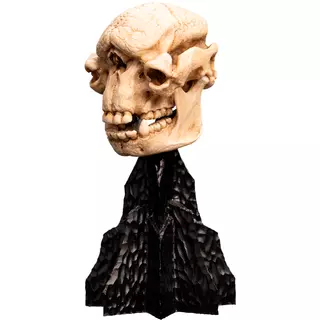 Weta Workshop Lord of the Rings - Skull of a Cave Troll Minuature