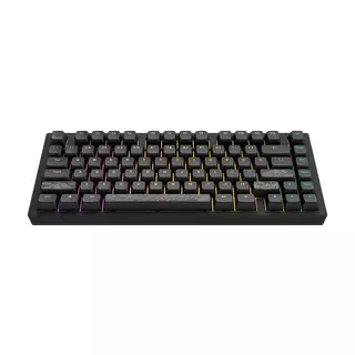 Dark Project ALU Terra Nostra Black - Wired Gaming Keyboard (ANSI)