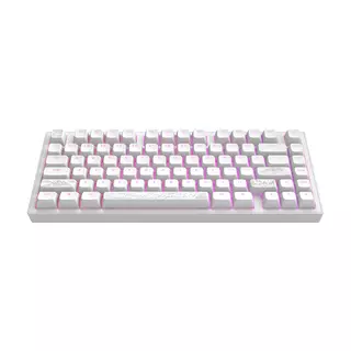 Dark Project ALU Terra Nostra White - Wired Gaming Keyboard (ANSI)