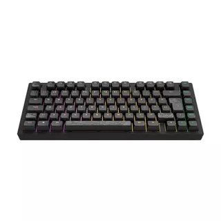 Dark Project ALU Terra Nostra Black - Wired Gaming Keyboard (ISO DE)