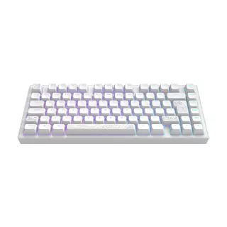 Dark Project ALU Terra Nostra White - Wired Gaming Keyboard (ISO DE)