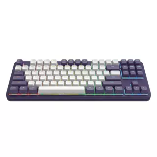 Dark Project ALU87 Violet - Mechanical Gaming Keyboard (ANSI UA)