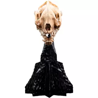 Weta Workshop The Lord of the Rings Trilogy- Miniature Skull of a Warg