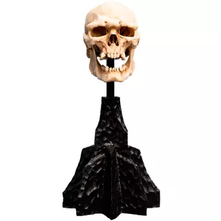 Weta Workshop The Lord of the Rings - Miniature Skull of a Mordor Orc