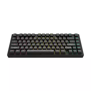 Dark Project ALU Terra Nostra Black - Wired Gaming Keyboard (ANSI UA)
