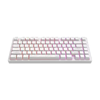 Dark Project ALU Terra Nostra White - Wired Gaming Keyboard (ANSI UA)