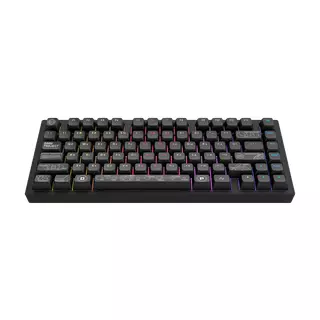 Dark Project ALU Terra Nova Black - Безжична геймърска клавиатура (ANSI UA)