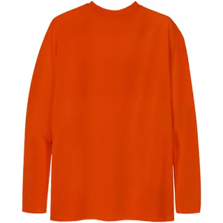 Virtus.pro long sleeve with velvet logo, color: orange, size XXL