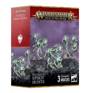 Warhammer Age of Sigmar- Nighthaunt: Spirit Hosts 3 Miniaturas