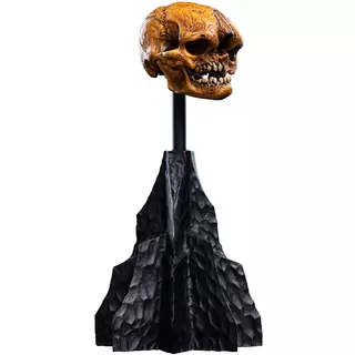 Weta Workshop The Hobbit Trilogy - Skull Of A Misty Mountain Goblin Miniature