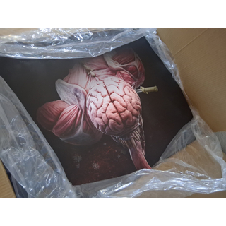 PureArts Resident Evil 2 - Licker Standard Edition Maßstab 1/1