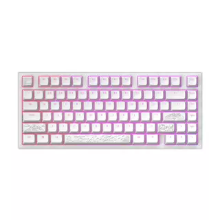 Dark Project ALU Terra Nostra R2 White - Wired Gaming Keyboard (ANSI)