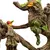 Weta Workshop The Lord of the Rings Trilogy  - Treebeard Figure Mini Epics