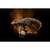 Statua Iron Studios Jurassic World - T-Rex Icons