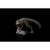 Statua Iron Studios Jurassic World - T-Rex Icons