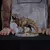 Iron Studios JURASSIC PARK - T-Rex Regular MiniCo Figure