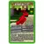 Winning Moves Top Trumps - Independent & Unofficial Guide To Minecraft New 2020  Eng