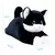 Plush toy WP MERCHANDISE Cat Rubby ,40 cm