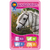 Vítězné tahy Top Trumps - Koně a jednorožec Karty Standard Tuck Box Vícejazyčný