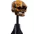 Weta Workshop The Hobbit Trilogy - Skull Of A Misty Mountain Goblin Miniature