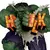 Marvel The Incredible Hulk 1:6th Scale Collectible (Gold Label) McFarlane Toys