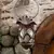 Weta Workshop The Hobbit Trilogy - Radagast In Rhosgobel 1:6 Scale Statue