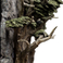 Weta Workshop El Señor de los Anillos - Las Puertas de Durin Entorno Escala 1/6