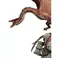 Weta Workshop La Trilogie du Hobbit - Smaug Le Râle de Feu Statue Edition Limitée
