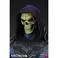 Tweeterhead Masters del Universo - Busto Skeletor Leyendas Edición Limitada Tamaño Natural