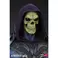 Tweeterhead Masters del Universo - Busto Skeletor Leyendas Edición Limitada Tamaño Natural
