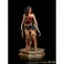 Iron Studios Wonder Woman 1984 - Joven Diana Estatua Deluxe Art Escala 1/10
