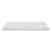Dark Project One KD87A Weiß - Gateron Mech. Gelb RGB (ENG/UA)