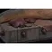 Iron Studios Star Wars - Jabba The Hutt Statue Art Scale 1/10