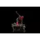 Iron Studios Spider-Man: No Way Home - Peter#1 Statue Art Scale 1/10