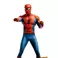 Iron Studios SPIDER-MAN ('60s Animated Series) - Pointing Meme Statue 1/10