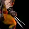 Iron Studios Marvel - Wolverine Unleashed Statue Deluxe Kunst Maßstab 1/10
