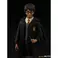 Iron Studios Harry Potter - Harry Statue Art Scale 1/10