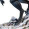 Iron Studios Jurassic World Dominion - Statua blu in scala 1/10