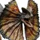 Iron Studios Jurassic World Dominion - Statua di Dilophosaurus in scala 1/10